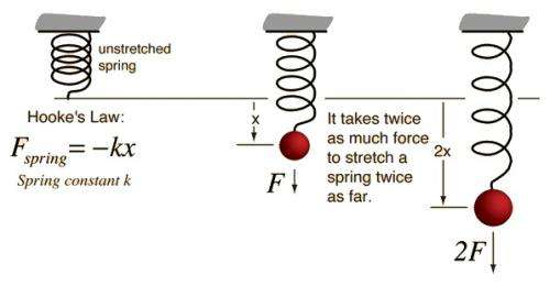 Hooke's Law
